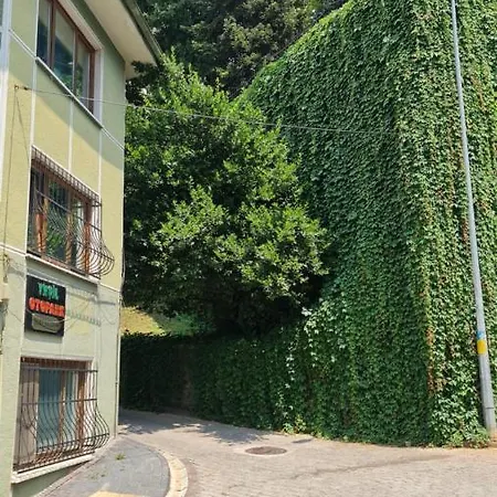 Cozy Spacious Near Mosque Daire