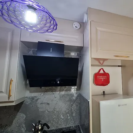 Cozy Spacious Near Mosque Apartment